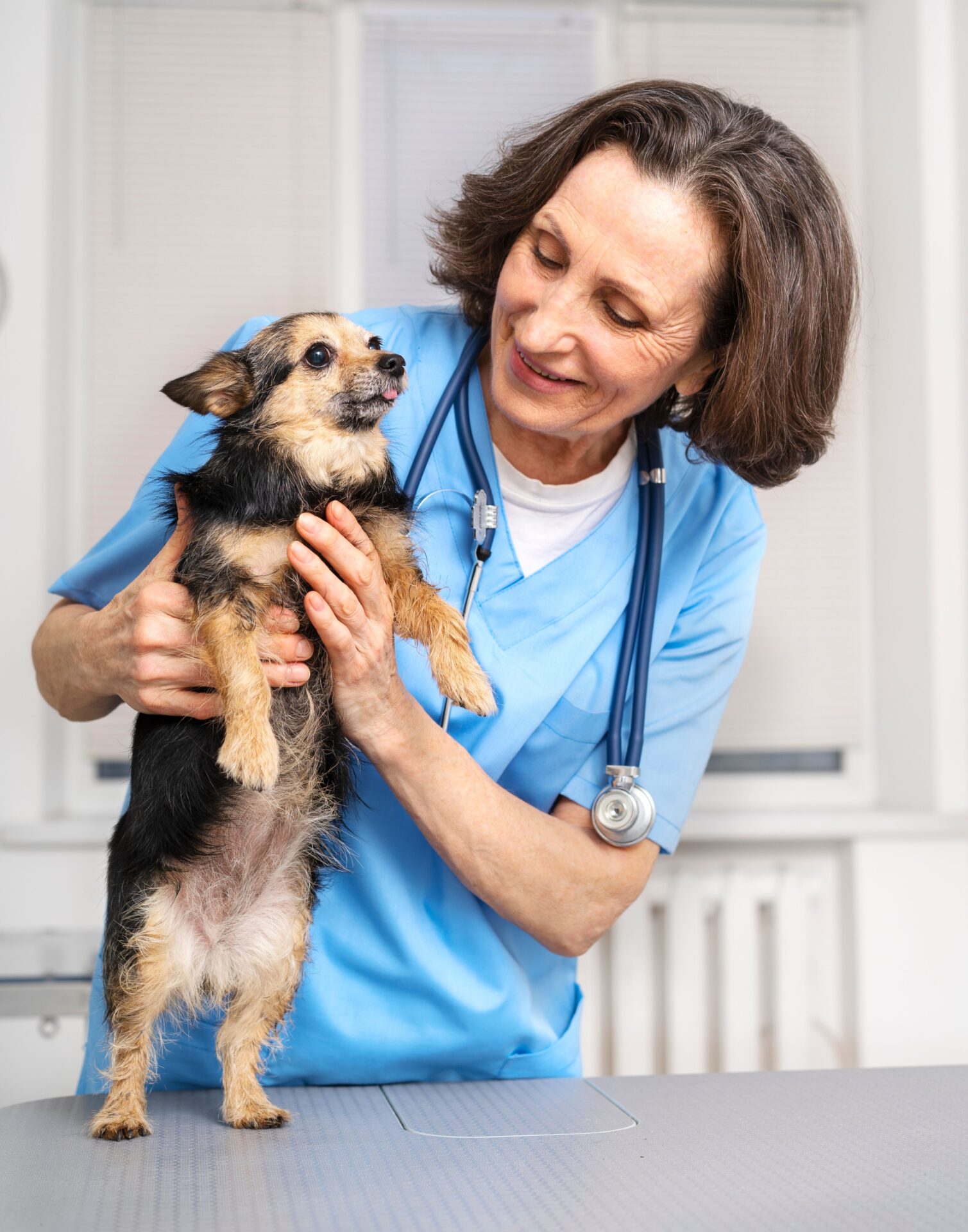 A doctor taking the dog with smile